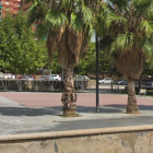 L'activitat començarà a la Plaça de Cuba de Sant Pere i Sant Pau.