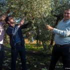 El president del Consell Regulador, Antoni Galceran, i el cuiner Eduard Xatruch, collint olives durant l’acte de presentació de la nova collita.