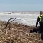 La Guàrdia Civil busca a la platja de Sueca desapareguts per la DANA.