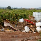 Un camp de tarongers ple de deixalles a causa de la DANA.