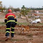 Imatge d'arxiu dels Bombers de la Generalitat buscant persones desaparegudes en un descampat