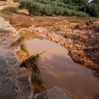 Camí afectat per les pluges a la zona de Favaret d'Amposta.