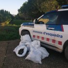 Imatge d'un vehicle dels Mossos amb les pinyes recollides