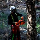 Un operari treballa en l'arranjament del bosc per prevenir els incendis forestals.