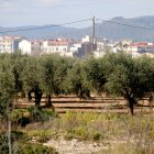 Terreny on s'ubicaria el nou polígon de la Bisbal del Penedès a tocar del nucli urbà.