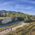 Imatge panoràmica d’arxiu d’un paisatge de la Conca de Barberà.