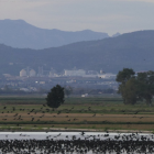 L'entitat assegura que el polígon s'ubicarà en una zona «d'alt valor ambiental, ecològic i paisatgístic».