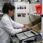 L'activitat empresarial femenina es concentra majoritàriament en l'eix Tortosa-Amposta.