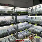 Laboratori amb esqueixos de marihuana que els Mossos d'Esquadra han destmantellat.