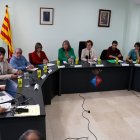 Ple extraordinari de la Bisbal del Penedès per aprovar la requalificació dels terrenys pera ubicar el polígon.