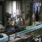 Treballadors de Balfegó processant tonyines a les noves instal·lacions del grup a l'Ametlla de Mar.