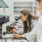 Fotografia d’arxiu d’una classe de laboratori a la Facultat de Medicina de la Universitat Rovira i Virgili.