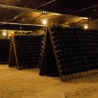 Imatge d'una bodega de Freixenet.