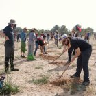 L'acció reivindicativa ha consistit en la plantació de planters de secà als terrenys on es projecta l'empresa Lotte a Mont-roig del Camp