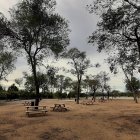 Fotografia d’arxiu del parc de les Famílies de Reus, un dels indrets on es crearà un refugi natural per animals.
