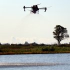 Un dron sembrant amb llavors d'arròs un camp proper a la població de la Ràpita.