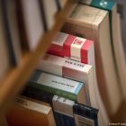 Els usos previstos al local són els habituals del servei bibliotecari.