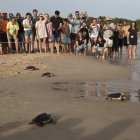 Cinc tortugues fent les seves primeres passes cap a la llibertat.