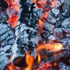 Imatge de la brasa d'una Barbacoa.