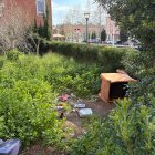 Imatge del jardí entre el carrer San Benilde i la Rambla de Ponent de Torreforta que està en un estat insalubre.