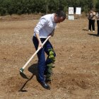 El conseller d'Agricultura, Òscar Ordeig, plantant un avellaner