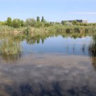Imatge de la llacuna de l'Anella Mediterrània, on es farà un projecte de renaturalització.