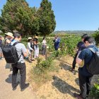 Una de les visites a un celler per part dels importadors japonesos.