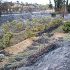 Les flames van arribar a escassos 200 metres d'Aldover i van cremar vorals i camps.