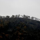 Una muntanya cremada per l'incendi de Paüls