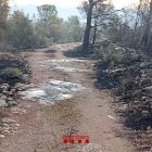 Un terreny afectat per l'incendi de Paüls.
