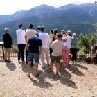 Alcaldes i autoritats del Baix Ebre observant la zona afectada de l'incendi des del castell de Paüls.