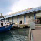 Una embarcació amarrada al port de Tarragona, just davant de la Confraria tarragonina.