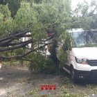 Un arbre caigut sobre una furgoneta a Terrassa a causa d'un episodi de pluges intenses generalitzat a Catalunya.