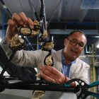 El cap del programa d’Aqüicultura de l’IRTA, Enric Gisbert, mostrant bivalves en estudi al centre de recerca de La Ràpita.tor: Mar Rovira