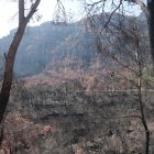 Imatge de la zona afectada per l'incendi a Paüls