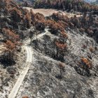Boscos cremats a banda i banda del camí a Paüls