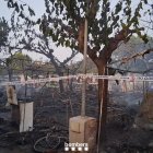 Estat en que ha quedat el càmping Vendrell Platja afectat per dos incendis.