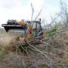 Una excavadora arrenca avellaners morts d'una finca de Riudoms.