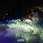 Imatge d'un arbre caigut durant les pluges d'aquesta matinada.
