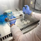 La recerca es durà a terme al Port de Tarragona i a la platja de la Pineda.