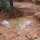 Una finca de Freginals plena de fang després dels aiguats.