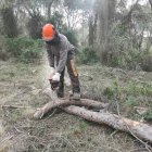 Imatge d'arxiu d'un operador duent a terme treballs forestals a Tarragona.