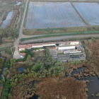 Zona del Canal Vell de Deltebre, on ha aparegut el xoriguer infectat.