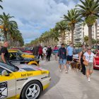 Alguns dels vehicles que han participat a la trobada.