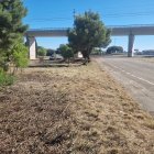 Condicionament dels terrenys propers al cementiri.