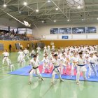 L’estil Kushin Kai va ser introduït a Catalunya pel mestre japonès Kozo Mizoguchi