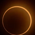 Al Camp de Tarragona, s’han seleccionat vuit municipis com a punts prioritaris d’observació