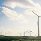 Les inscripcions es poden fer a través del web de l’entitat i les places són limitades