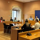 La redacció del document la farà l'empresa Deurza Consulting.