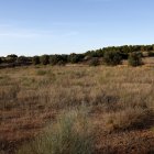 Imatge d’una finca abandonada des de fa una dècada a Lleida.